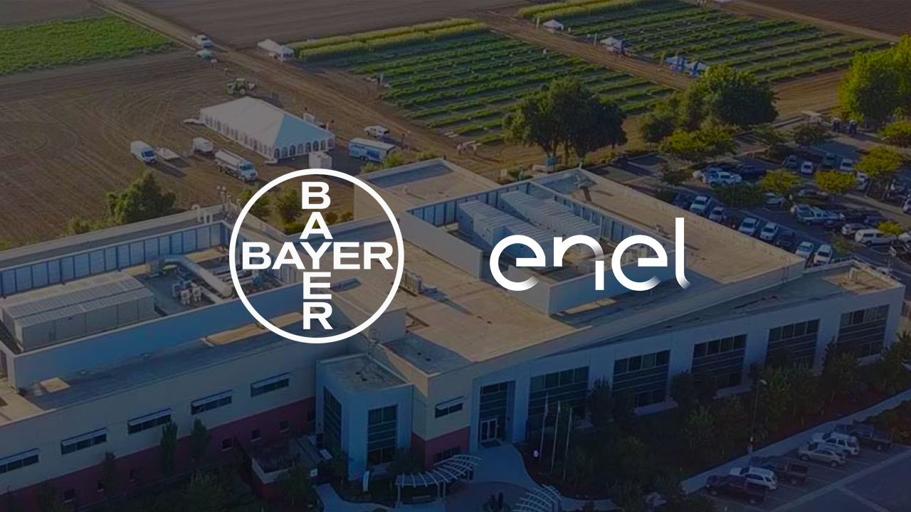 Enel X CEO on building Imperial Oil's lithium ion battery storage system at  no upfront cost - Video - BNN